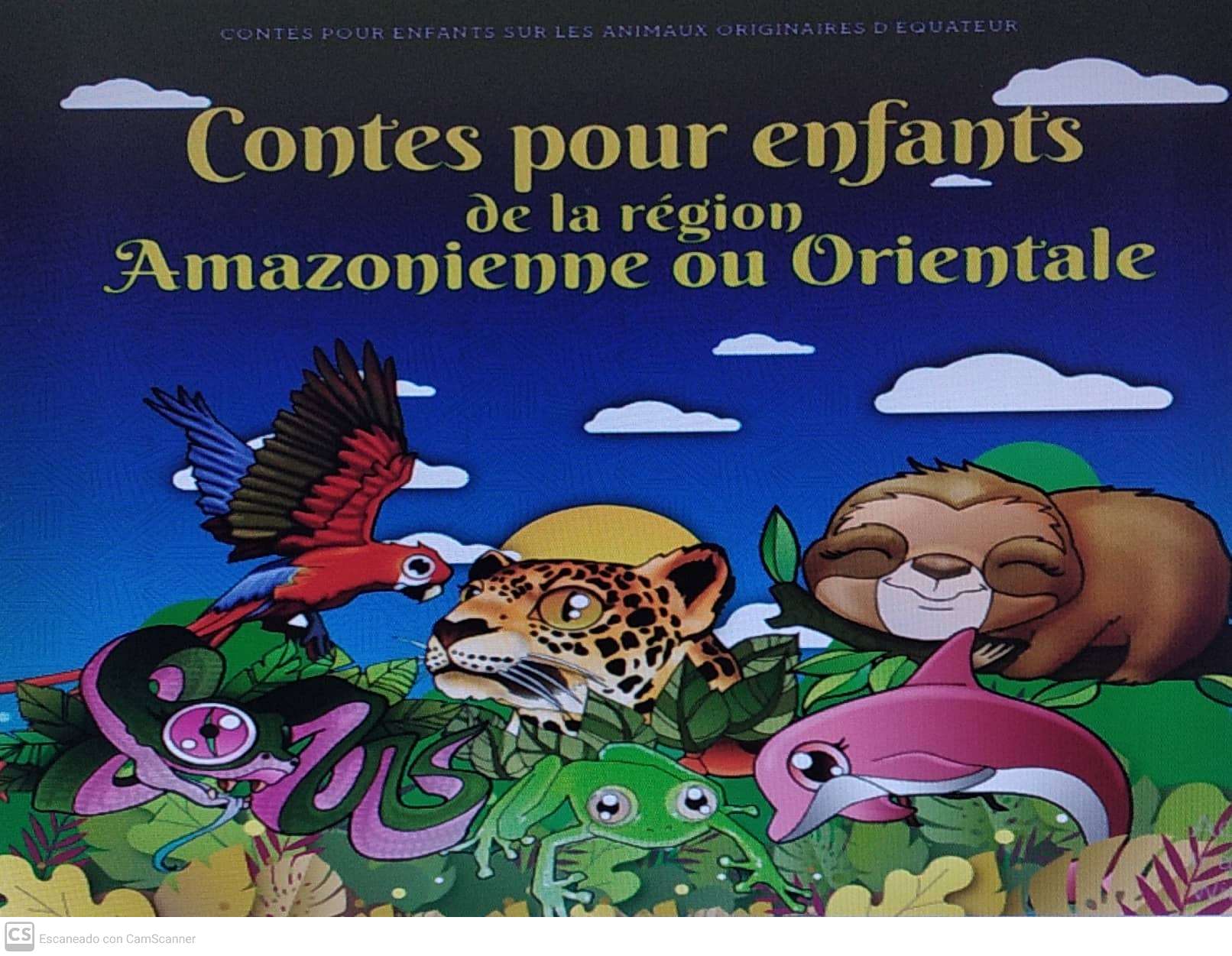 Collection logo